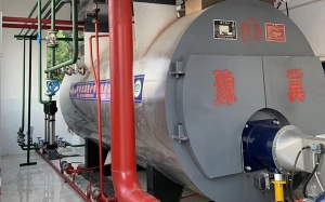商丘双鹤药业4吨冷凝一体燃气低氮30毫克锅炉投产运行